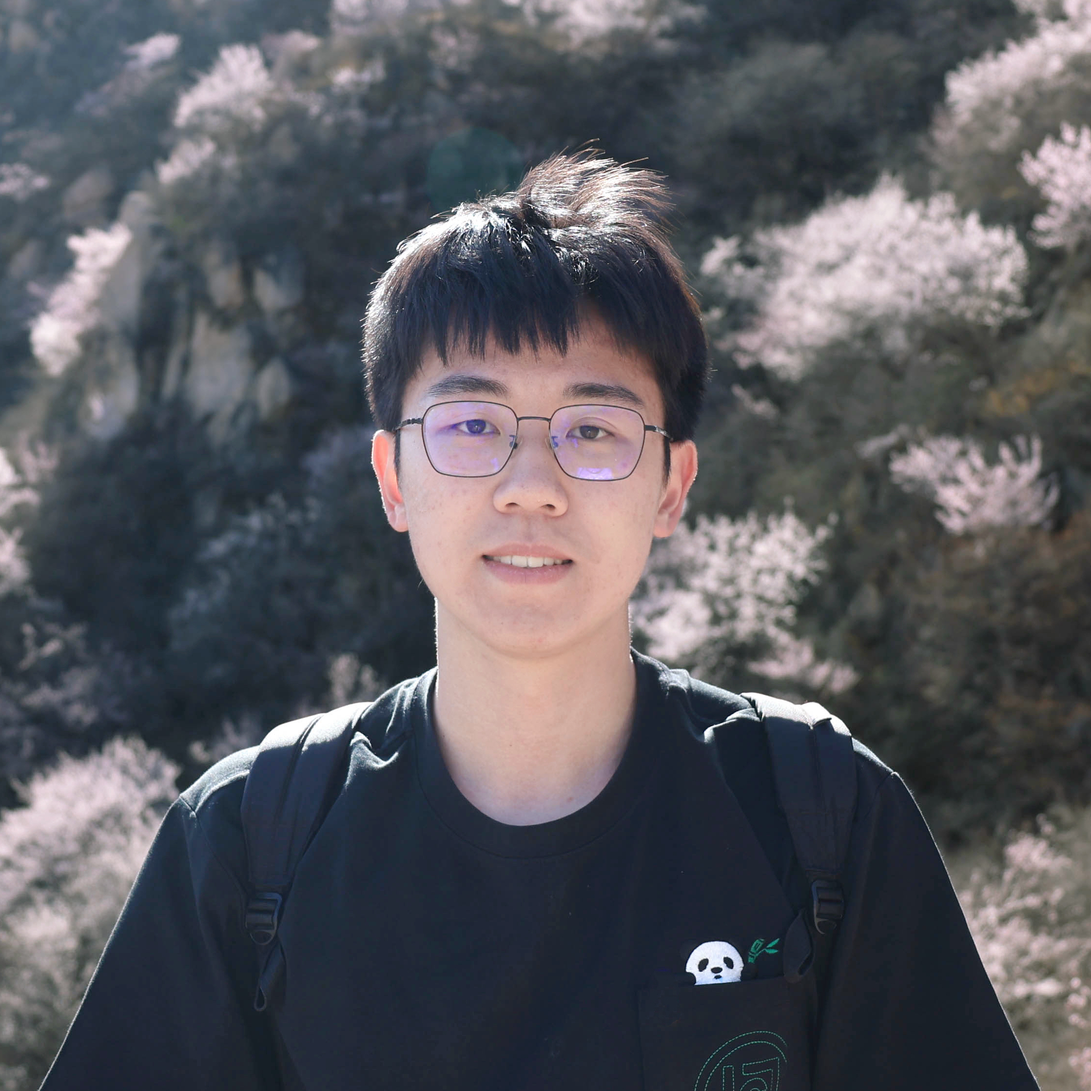Lingyi Meng